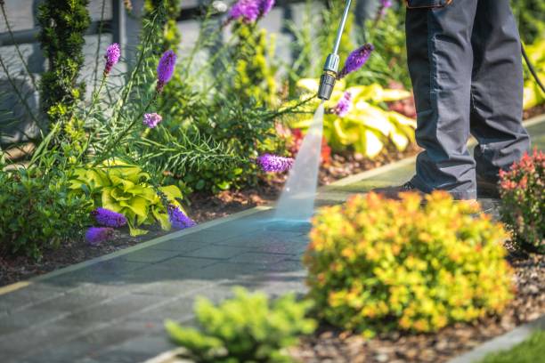 Best Soft Washing for Delicate Surfaces in Mount Joy, PA